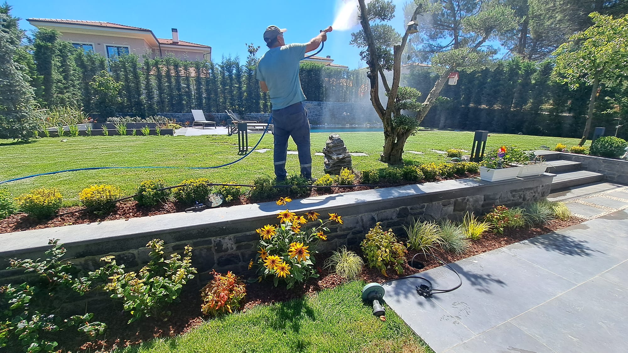 HAZIR ÇİM UYGULAMA